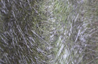 Whiston fibreglass roof work